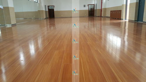 立美建材 為舞蹈室度身定制專業(yè)木地板與塑膠地板解決方案